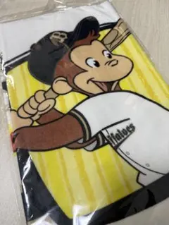 Item thumbnail for item 68543703-3cdd-4d36-89b7-a3cf0825ca02