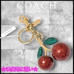 2026年最新】コーチ キーホルダー チェリーの人気アイテム - メルカリ