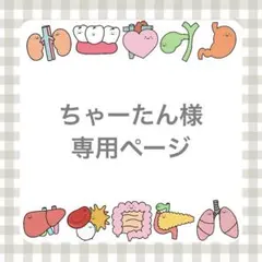ちゃーたん様専用ページ