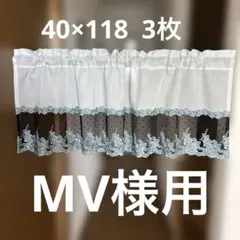 Item thumbnail for item 52b891c5-a8fc-4783-a573-70f5b96cf807