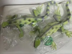 ◎BIGイグアナフィギュア◎2点セット