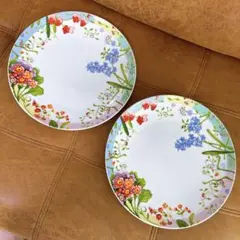 ビレロイ＆ボッホ（Villeroy & Boch）アマポーラ 大2皿 - メルカリ