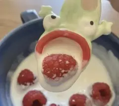 ムヒカ様 リクエスト 3点 まとめ商品