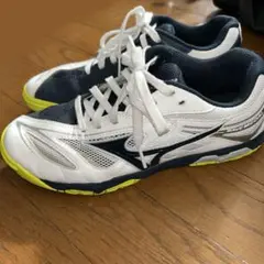 ミズノ ウェーブメダル6 卓球シューズ