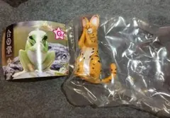 サーバルキャット　合掌　GASSHO 2拝　YELL ガチャ