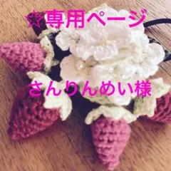 ☆さんりんめい様専用ページ