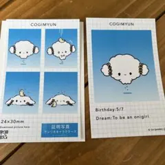 サンリオ証明写真風スマロイド　コギムュン