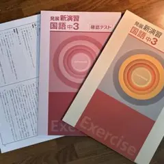 発展新演習中3国語