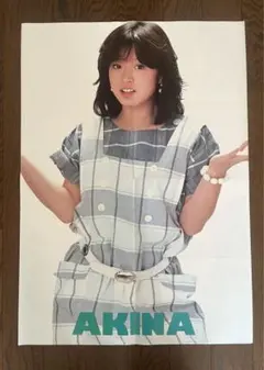 2026年最新】中森明菜ポスターの人気アイテム - メルカリ
