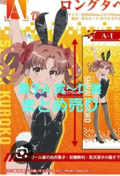 2026年最新】白井黒子 バニーの人気アイテム - メルカリ