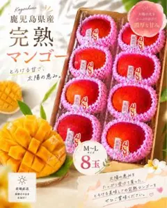 2026年最新】水素玉の人気アイテム - メルカリ