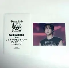 映画 Stray Kids The dominATE 第１弾入場特典 チャンビン