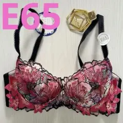 ドゥペルル　ブラジャー　E65 トリンプ ワコール サルート エメフィール好きに