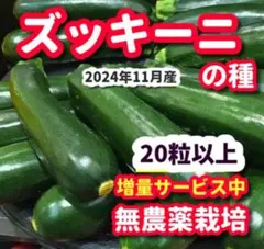 あらよ様 リクエスト 3点 まとめ商品