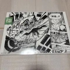 ONE PIECE BASE SHOP ALL PAGES シャンクス　神避