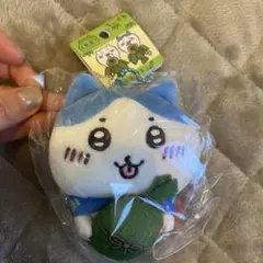 ハチワレ　ご当地ぬいぐるみ　マスコット　新潟