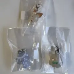 ポケモン めじるしアクセサリー ポケピース