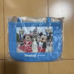 California Disney パスケース