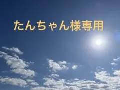たんちゃんプロ必読☆即購入❌いいね検討中様 リクエスト 2点 まとめ商品