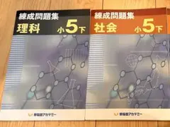 Item thumbnail for item 950b8d91-6045-4afa-b86c-538743ad5a8f