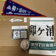 2024甲子園 霞ヶ浦高校応援グッズ - メルカリ