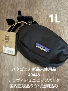 新品 パタゴニア テラヴィアミニヒップバック　タグ付送料込　49448