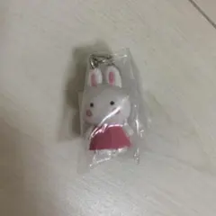 めじるしアクセサリー　サンリオ　チアリーチャム