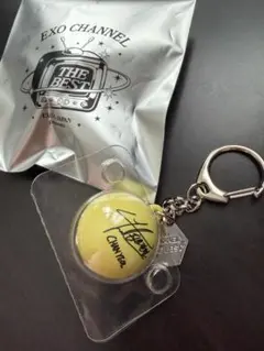 チャニョル チャル キーホルダー EXO チャニョル キーリング EXO-L-JAPAN Limited Acrylic Keychain