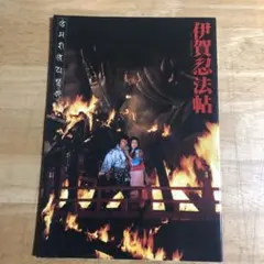 映画パンフレット　「伊賀忍法帖」