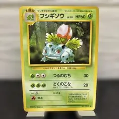 フシギソウ ◆ 第1弾拡張パック　旧裏