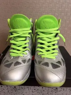 NIKE LEBRON スニーカー シルバー×ネオングリーン
