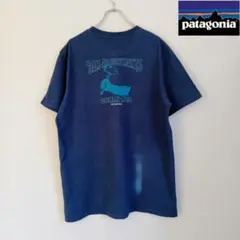 【美品】patagonia バックプリント グラフィックTシャツ XL
