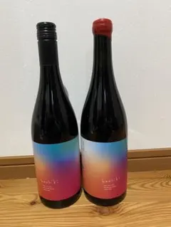 【2本セット】山田堂 Yoichi Pinot Noir 2023 2024 ワインセット＞ 山田堂 ヨイチ ピノノワール 2023 ＋ レオ ディ