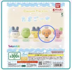 カプセルトイ　capsule flockies たまごっち　めめっち