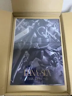 え*き様 Switch KAZUMA KANEKO'S ツクヨミ 限定特装版月神 - メルカリ