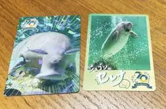 鳥羽水族館 コレクションカード2 コレカ 第2弾 5パック - メルカリ