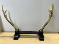 4階 【希少】鹿の角型 刀掛け 刀置き 二本掛け 飾り台 刀剣 武具 骨董