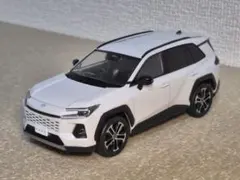 비매품 토요타 신형 RAV4 HEV 컬러 샘플 화이트 펄