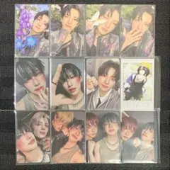 &TEAM YUMA ユウマ Back to Life 12枚まとめ売り