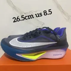 NIKE ズームフライ6（Zoom Fly 6）　FN8454-403