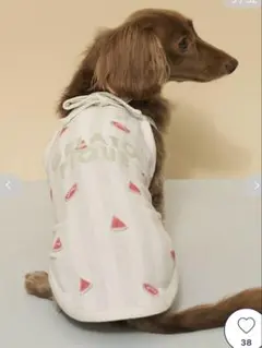 ジェラートピケ 【CAT&DOG】【接触冷感】ダックスフンドサイズプルオーバー