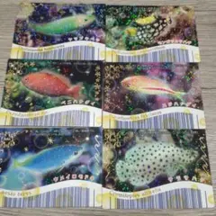 2025年最新】マリンマリン 魚カードの人気アイテム - メルカリ