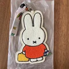 ミッフィー　定期入れ　パスケース　エポスカード