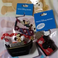 ディズニー　スーベニアミニスナックケース　キーチェーン　携帯クリーナー　セット