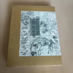 Item thumbnail for item 75edf92b-f759-42bd-8bf7-1bdf2a0c0141