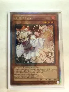 2026年最新】うらら エクストラシークレット 灰流の人気アイテム