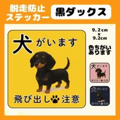 【黒ダックス】ステッカー　飛び出し注意　犬がいます　玄関　注意　脱走防止