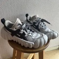 い*ご様 Onitsuka Tiger DENTIGRELS 24.5cm