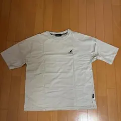 Item thumbnail for item b7b378da-2b36-4340-8d2e-50d284cf3510