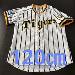 Item thumbnail for item 7f501d40-650f-4330-8102-2580811b8da0